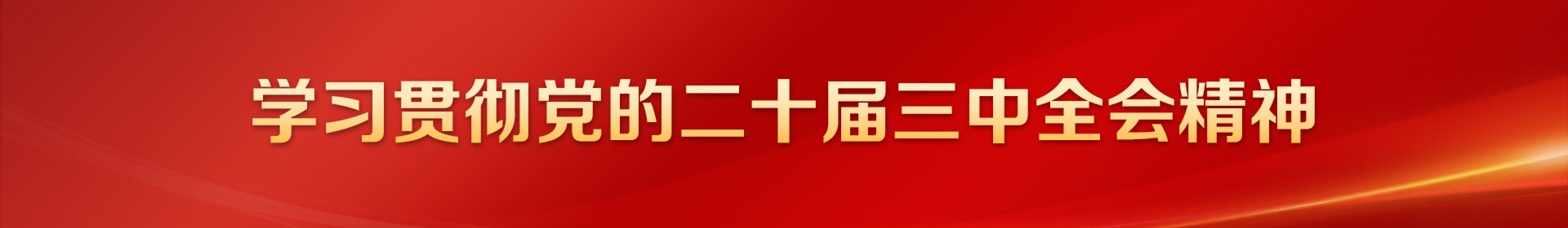 学习贯彻党的二十届三中全会精神